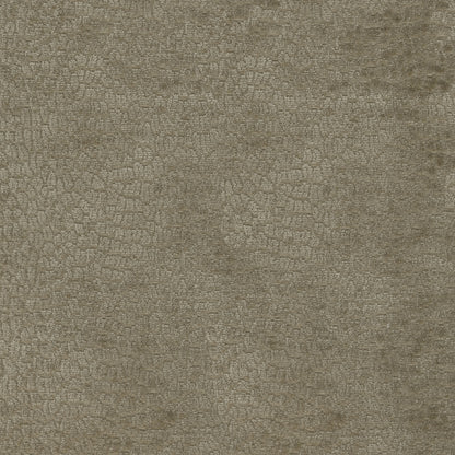TRH2955 Fabric
