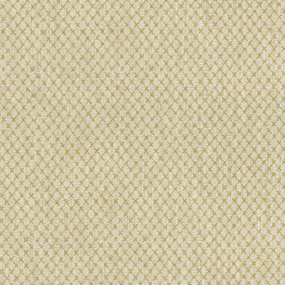 TRH3236 Fabric
