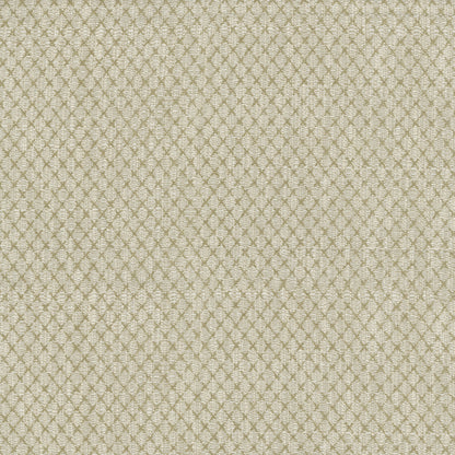 TRH3236 Fabric