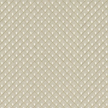 TRH2977 Fabric