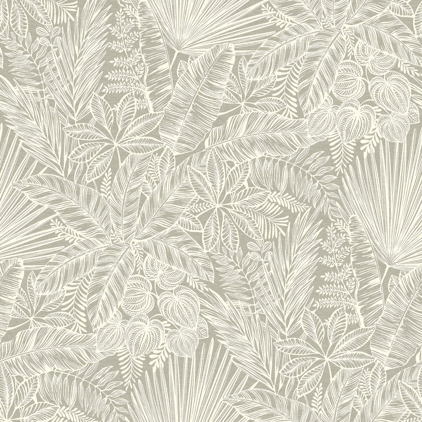 Middleton Vita Wallpaper