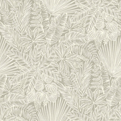 Middleton Vita Wallpaper
