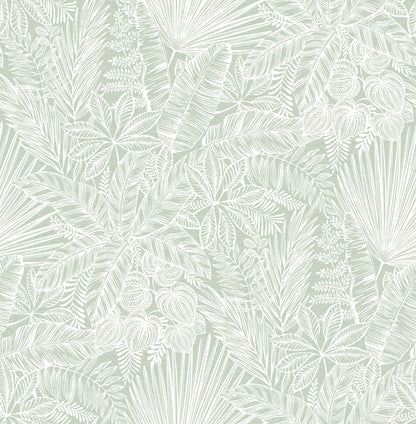 Middleton Vita Wallpaper