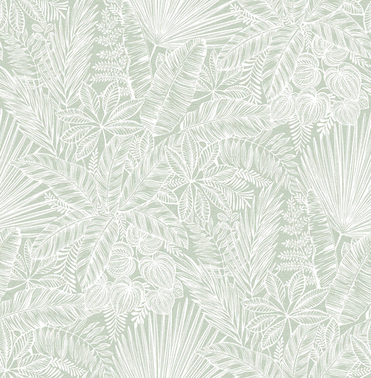 Middleton Vita Wallpaper