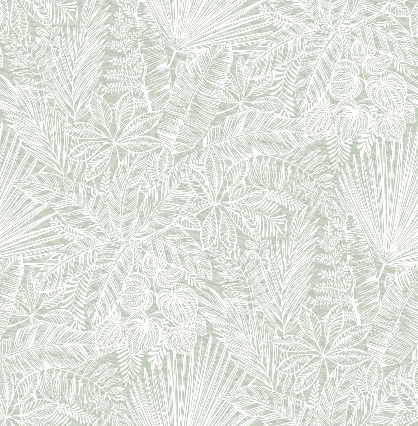 Middleton Vita Wallpaper