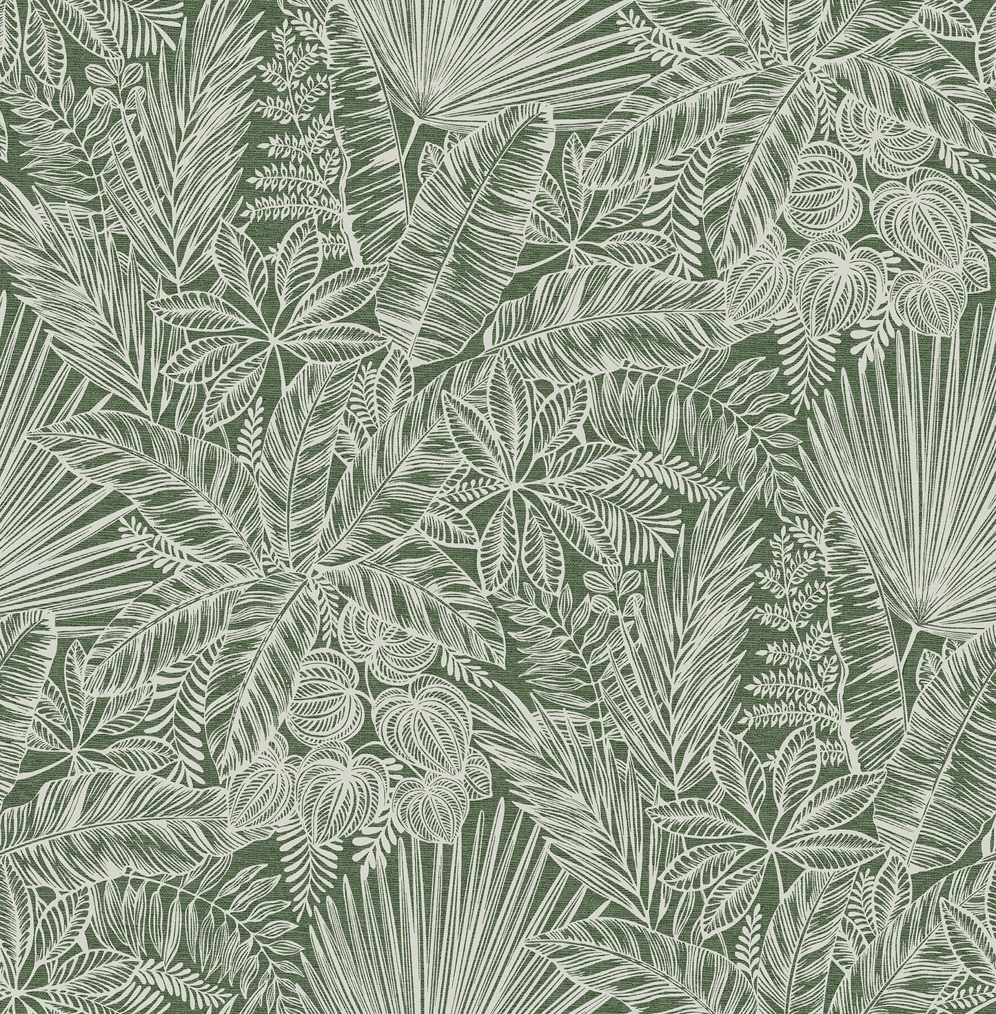 Middleton Vita Wallpaper