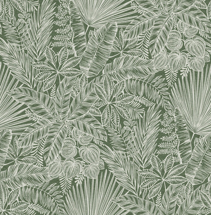 Middleton Vita Wallpaper