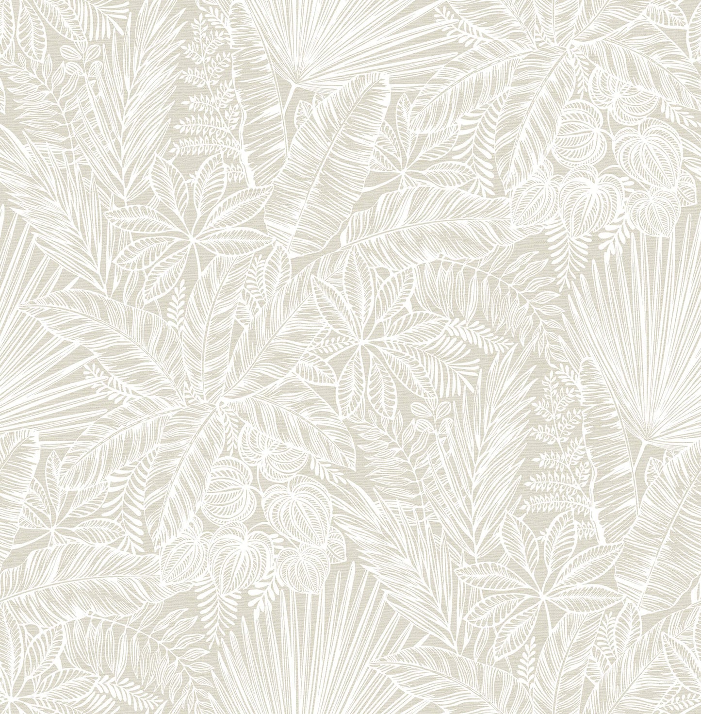 Middleton Vita Wallpaper