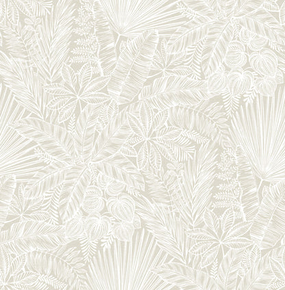 Middleton Vita Wallpaper
