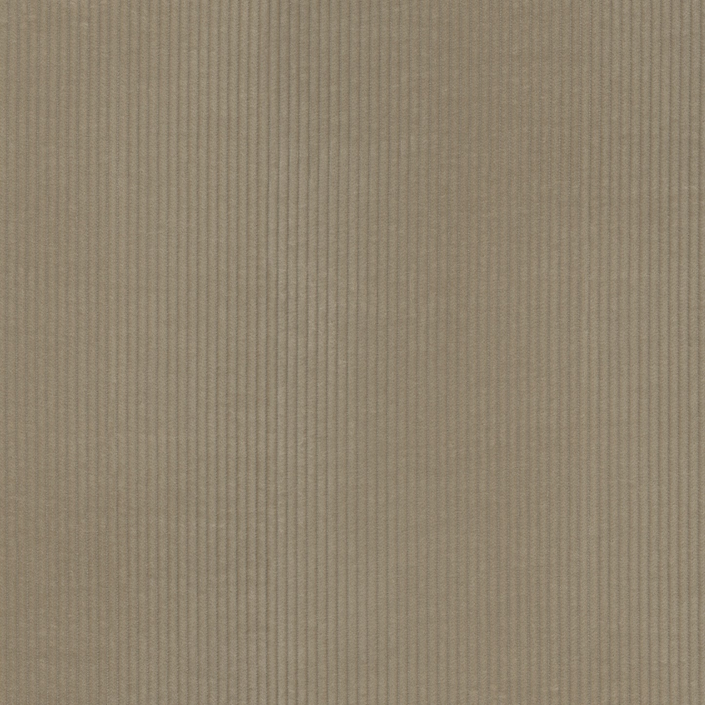TRH3255 Fabric