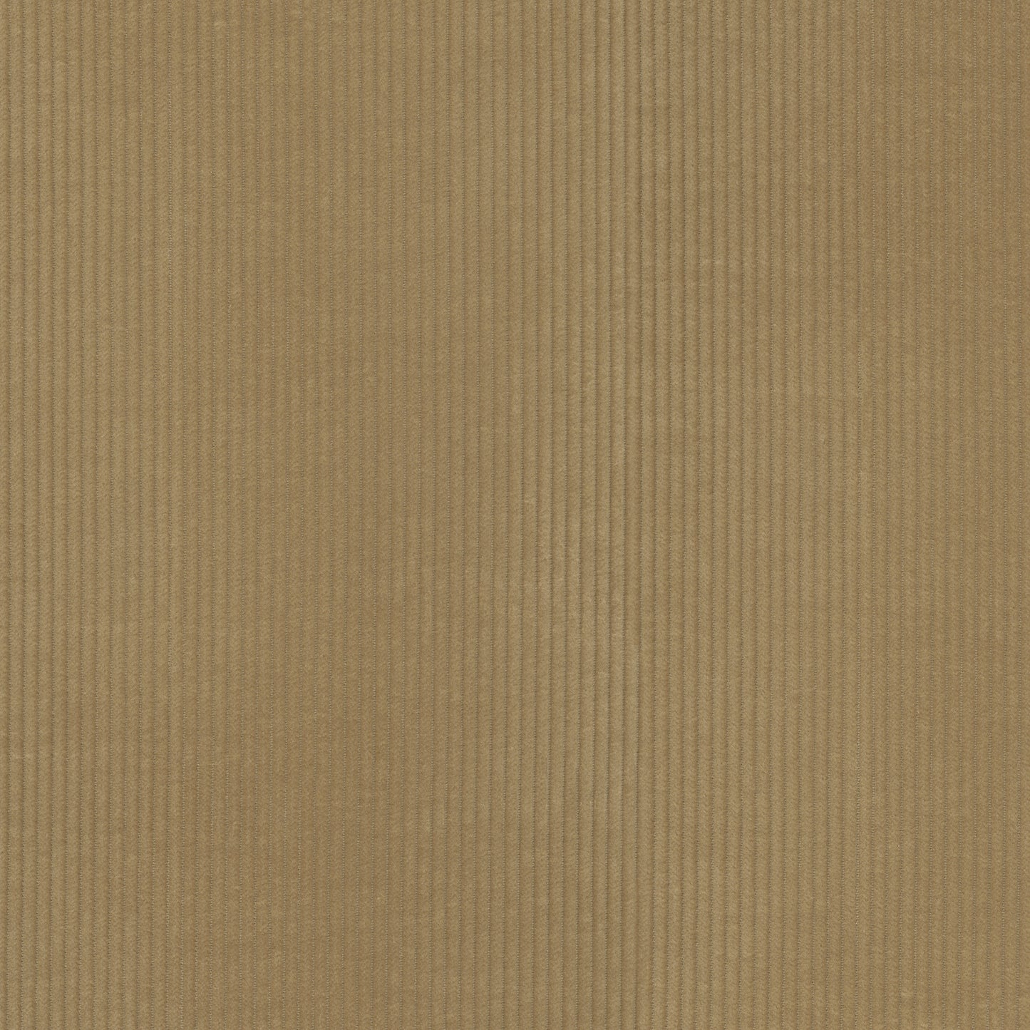 TRH3255 Fabric