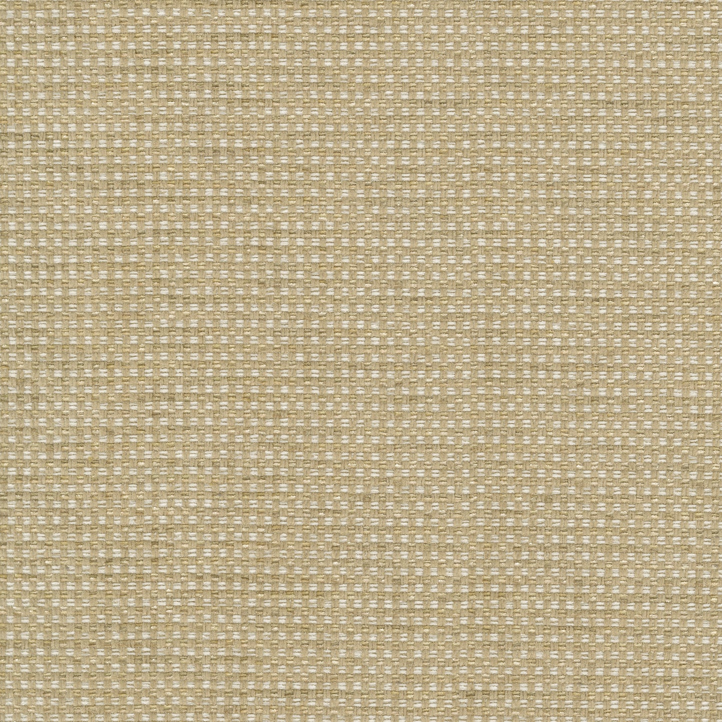 TRH3164 Fabric