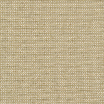 TRH3164 Fabric