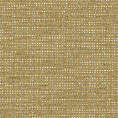 TRH3164 Fabric