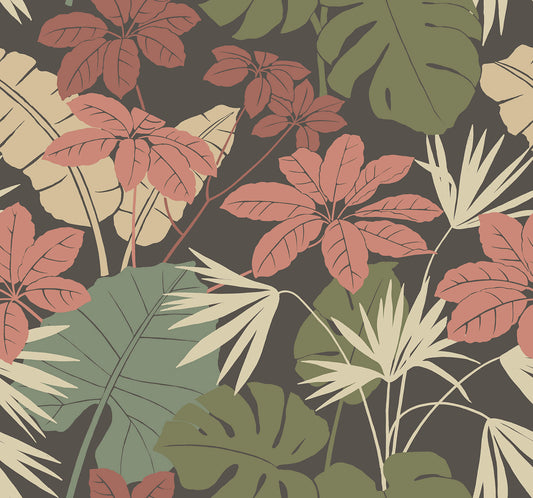 Terrace Medellin Wallpaper