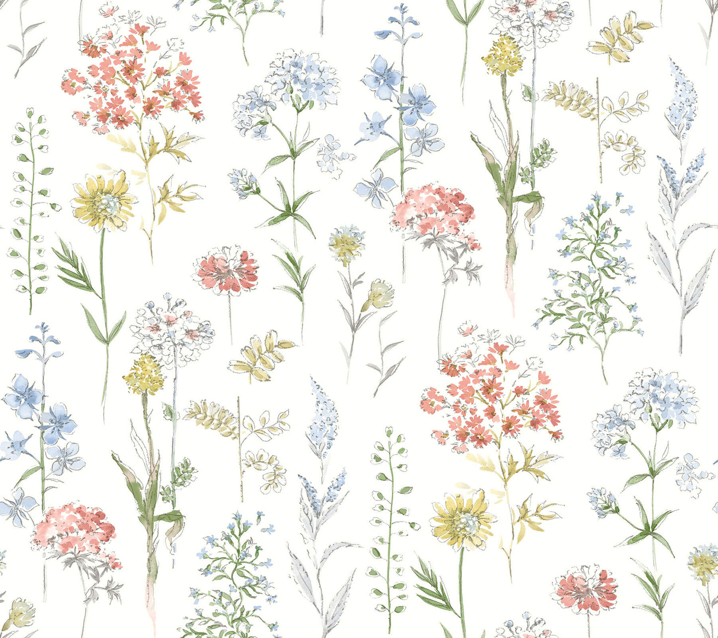 Wildflower Bergamot Wallpaper