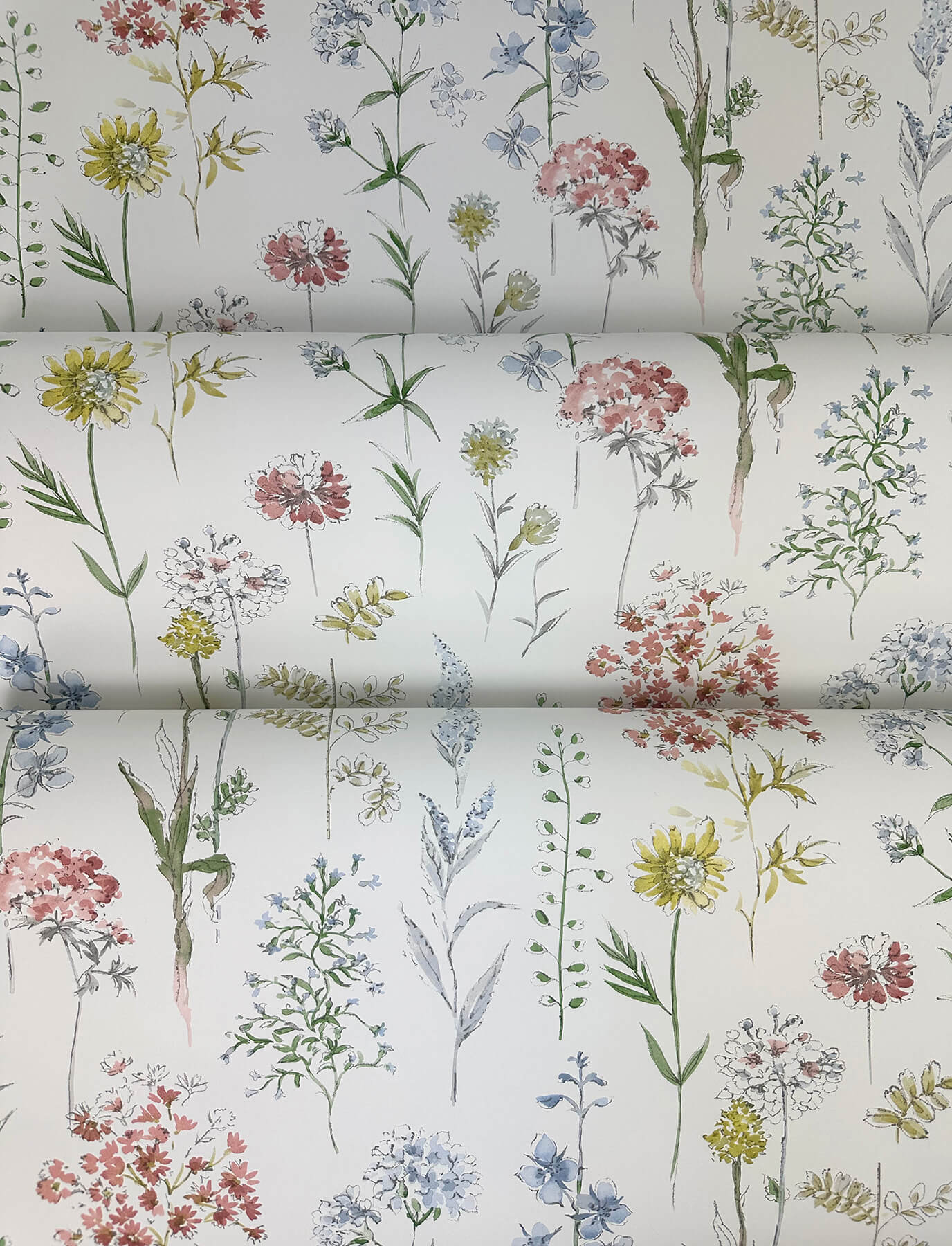 Wildflower Bergamot Wallpaper