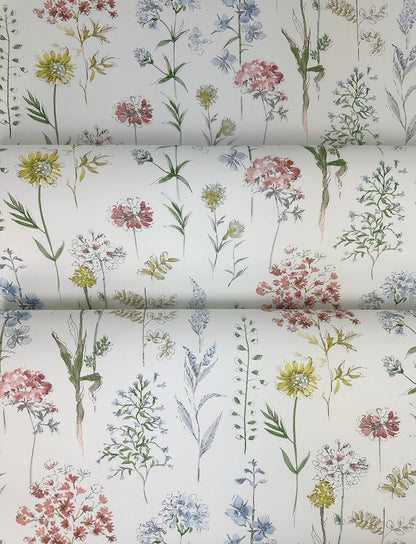 Wildflower Bergamot Wallpaper