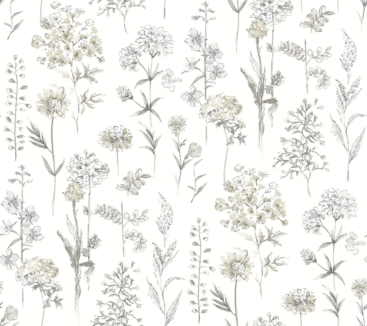 Wildflower Bergamot Wallpaper