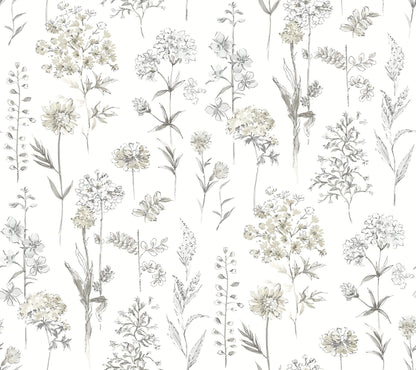 Wildflower Bergamot Wallpaper
