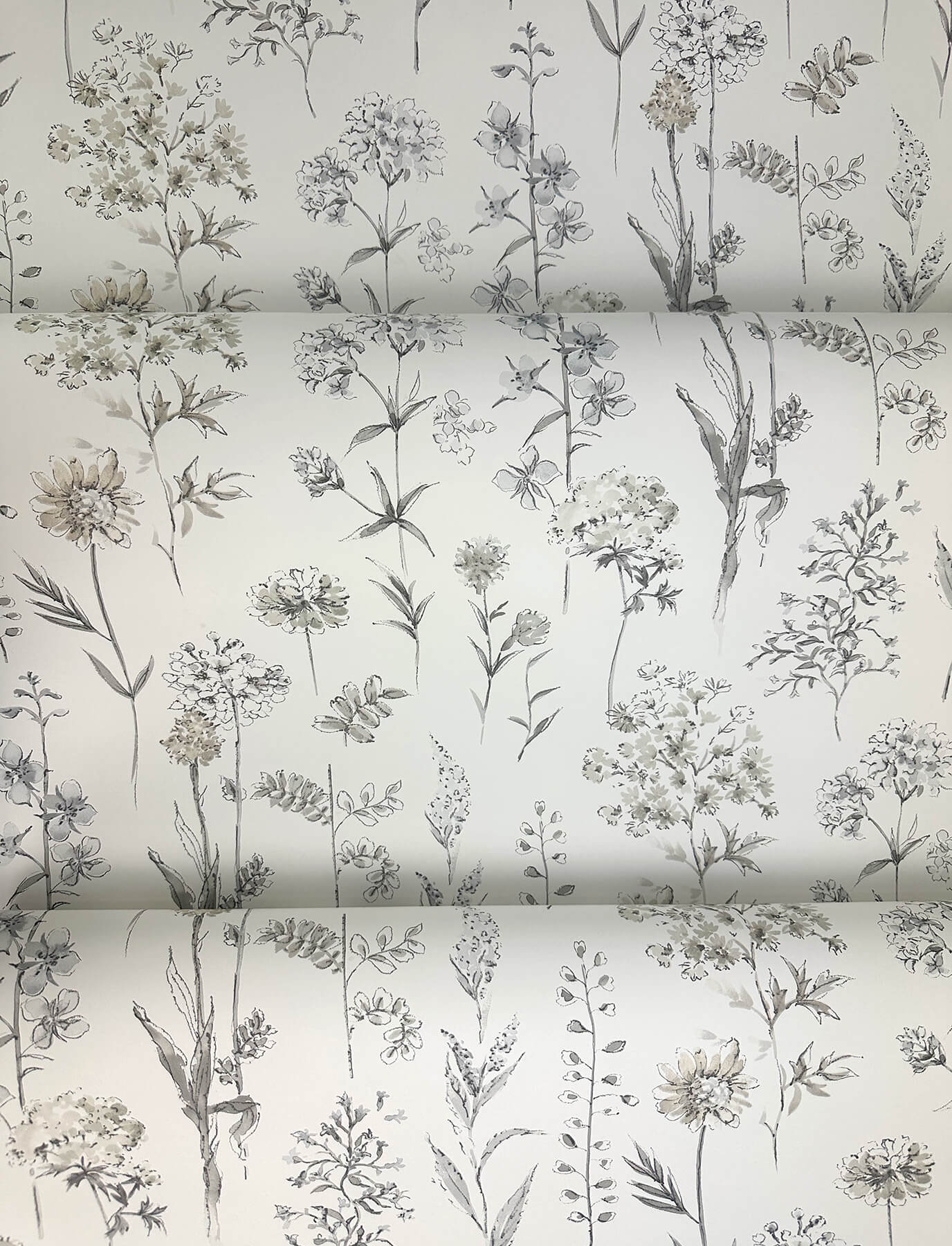 Wildflower Bergamot Wallpaper