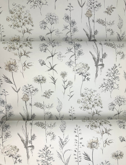 Wildflower Bergamot Wallpaper