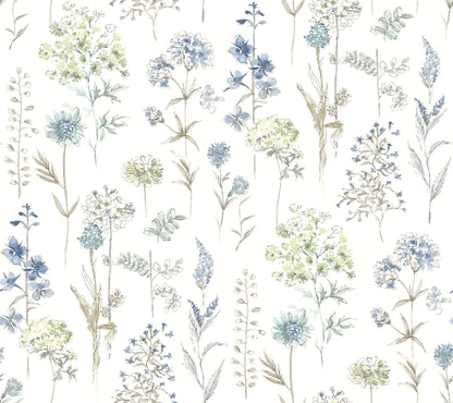 Wildflower Bergamot Wallpaper