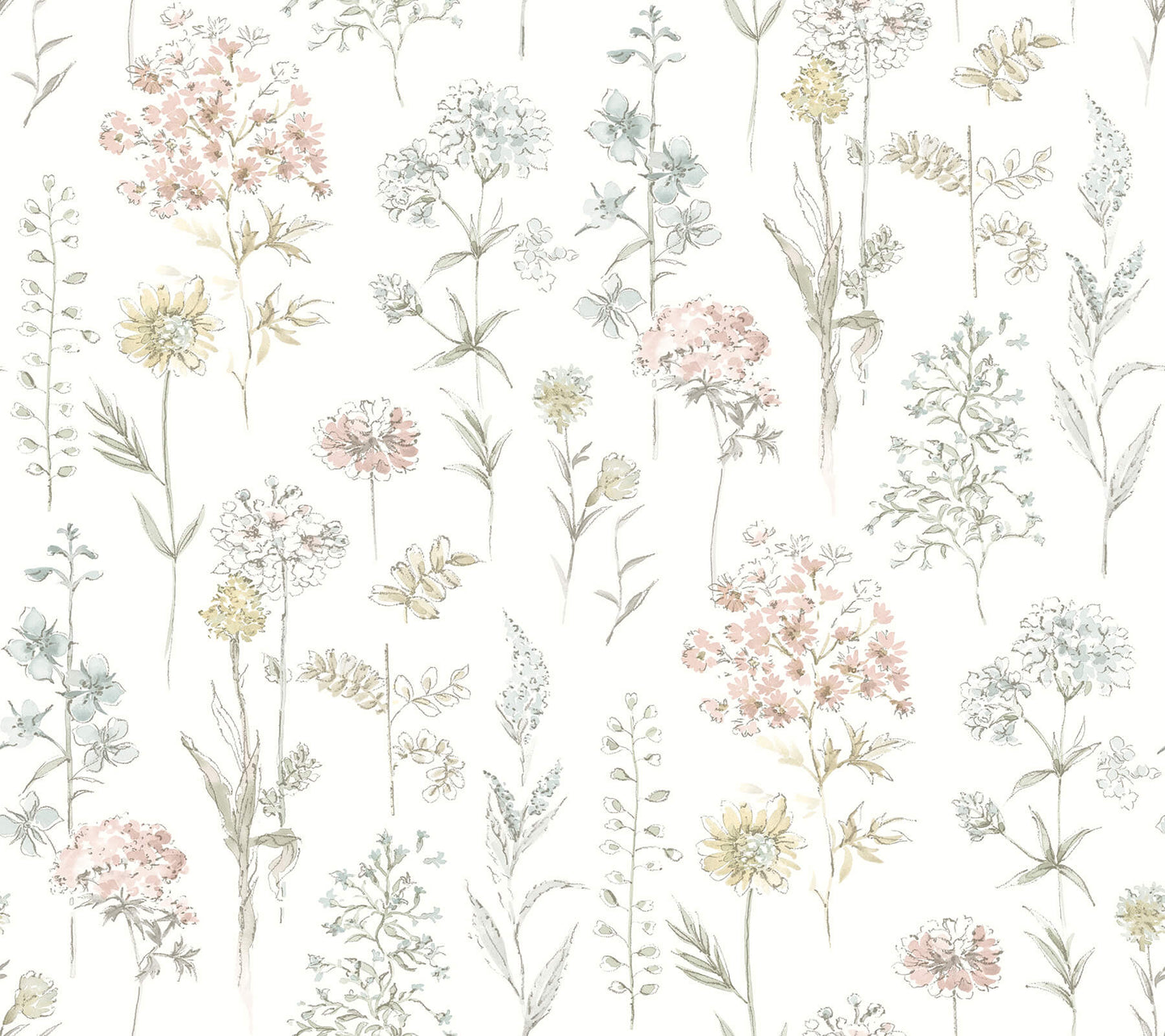Wildflower Bergamot Wallpaper