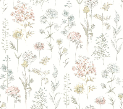 Wildflower Bergamot Wallpaper