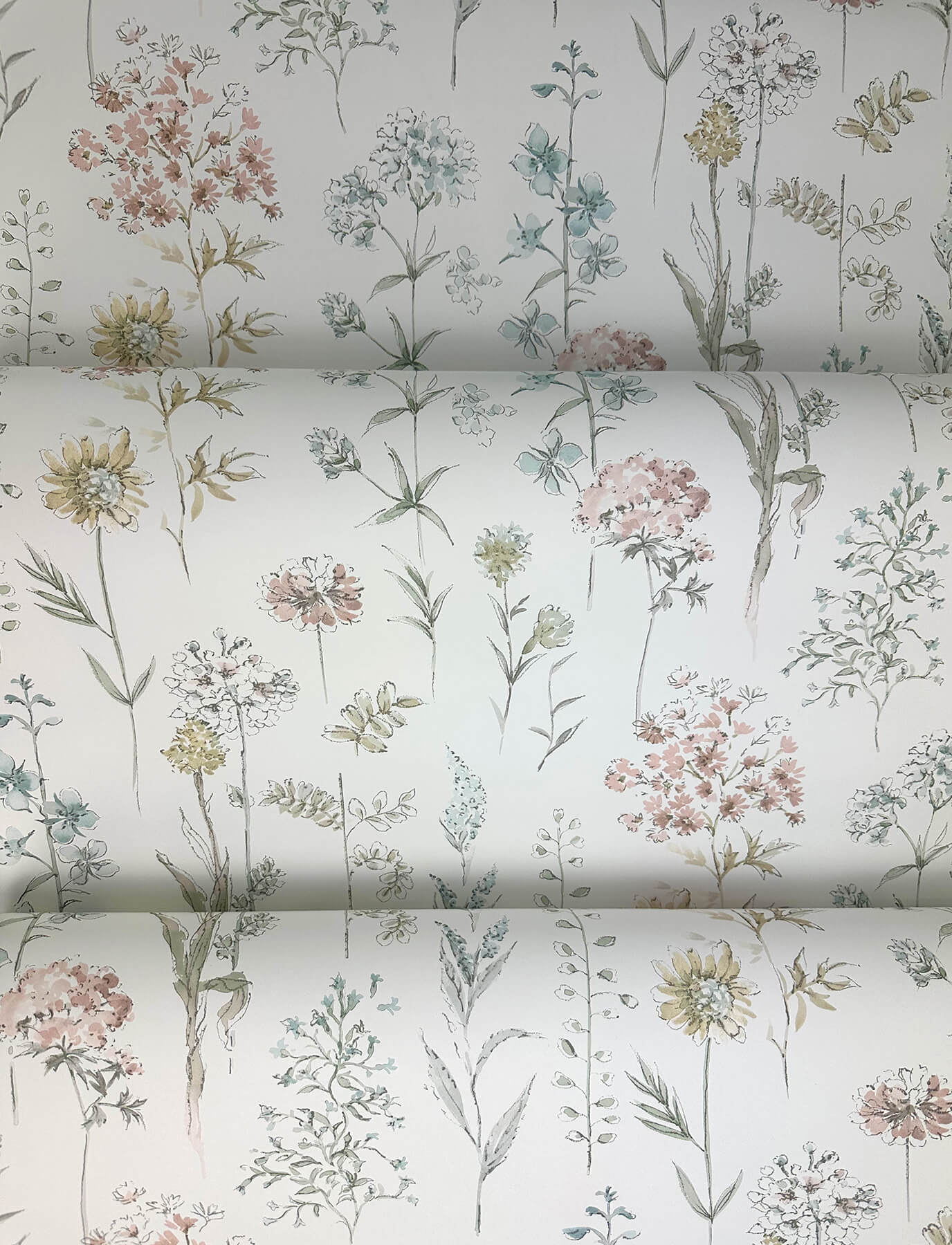 Wildflower Bergamot Wallpaper