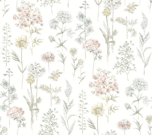 Wildflower Bergamot Wallpaper