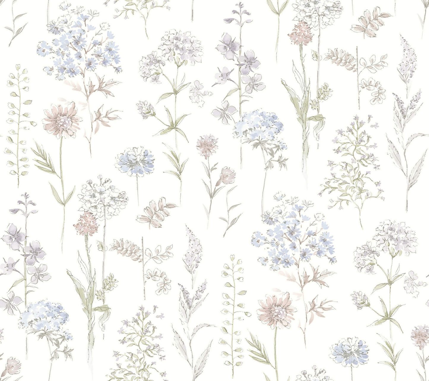 Wildflower Bergamot Wallpaper