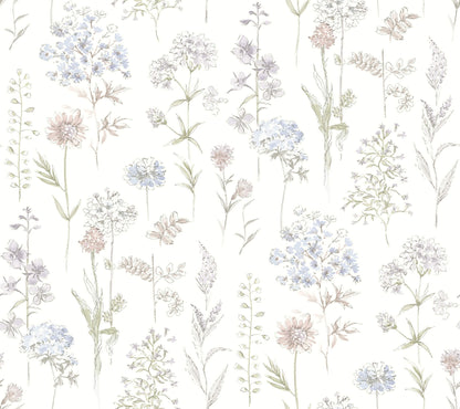 Wildflower Bergamot Wallpaper