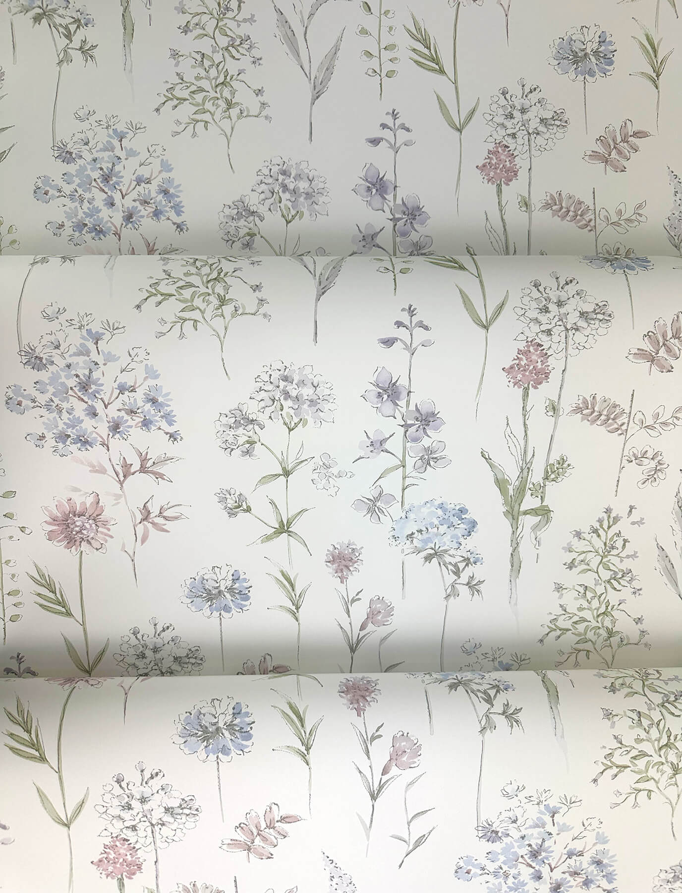 Wildflower Bergamot Wallpaper