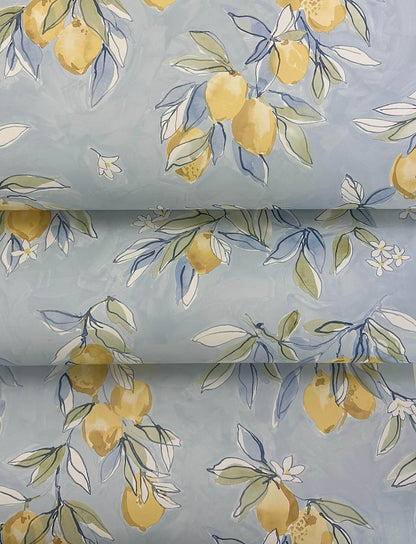 Wildflower Lemonade Wallpaper