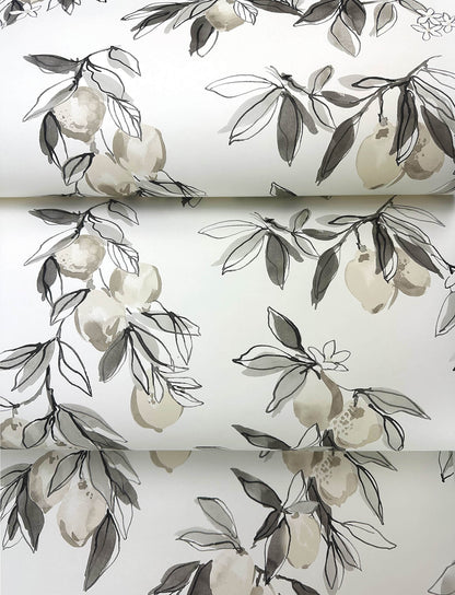 Wildflower Lemonade Wallpaper