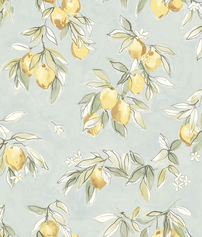Wildflower Lemonade Wallpaper