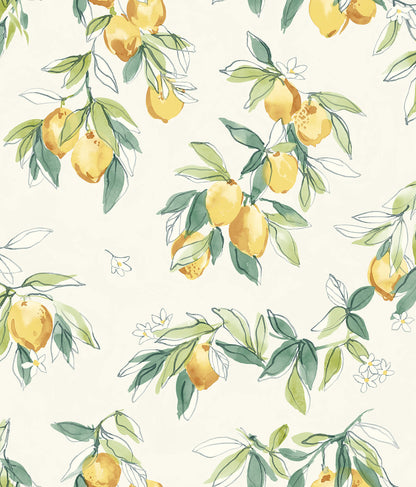 Wildflower Lemonade Wallpaper