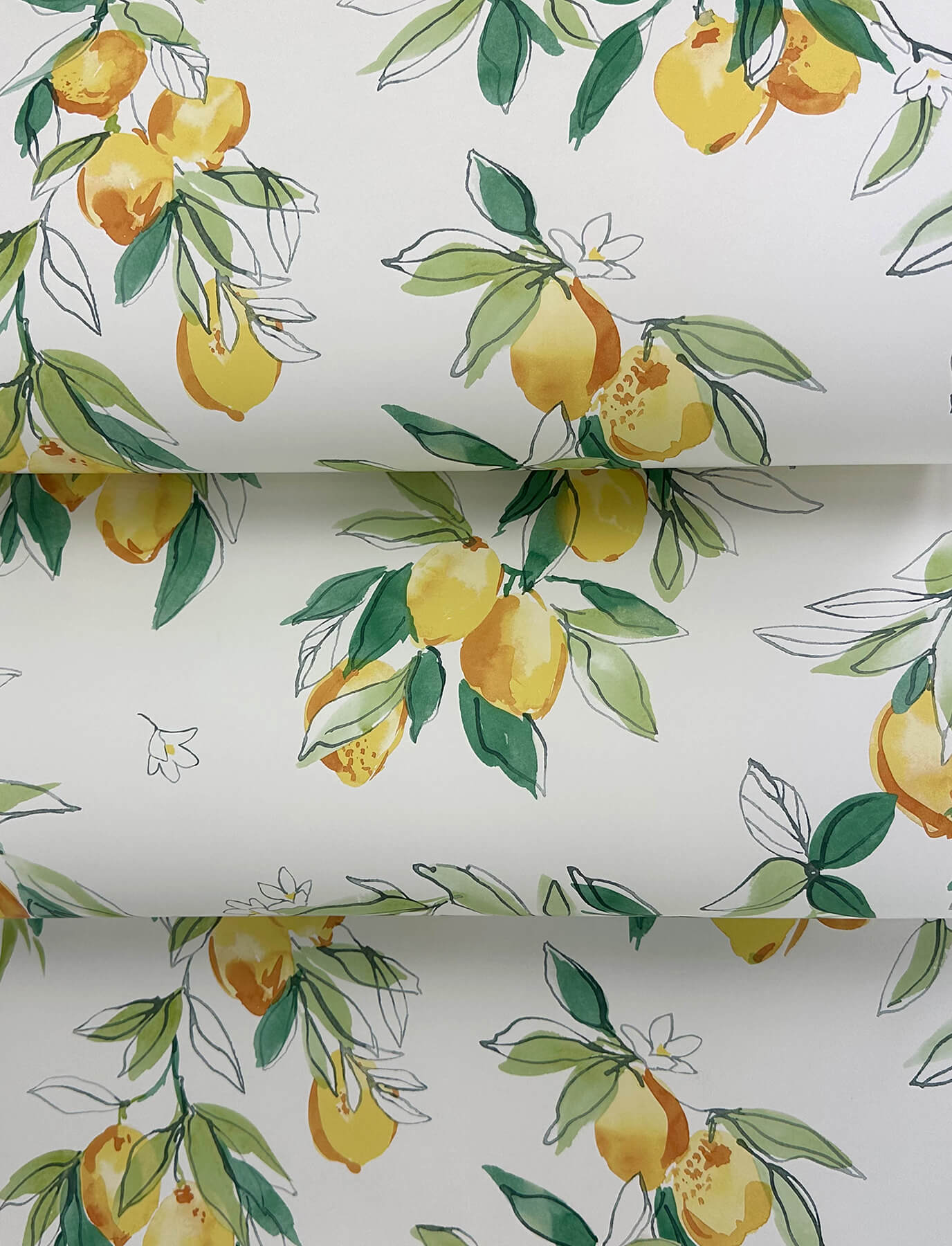 Wildflower Lemonade Wallpaper