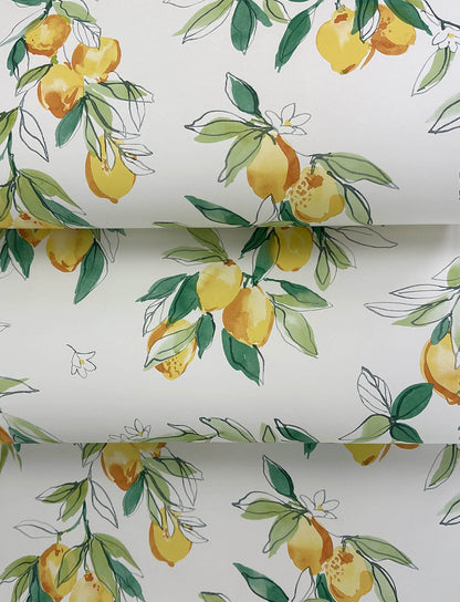 Wildflower Lemonade Wallpaper