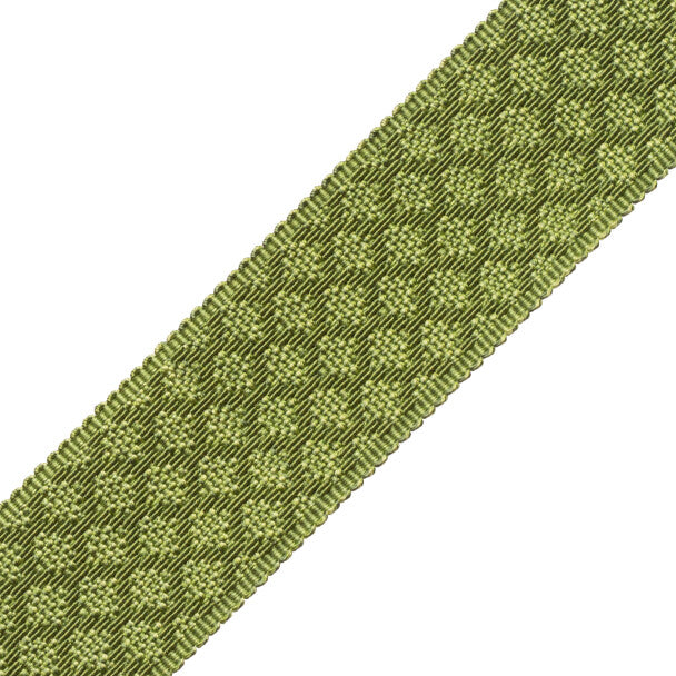 1.75" Le Jardin Silk Border Trim by Samuel & Sons in Grass