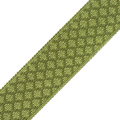 1.75" Le Jardin Silk Border Trim by Samuel & Sons in Grass