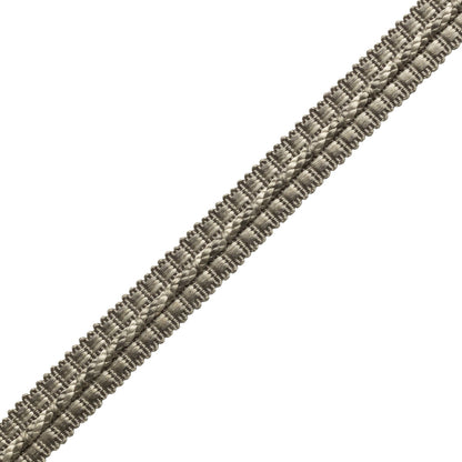 1/2" Le Jardin Silk Gimp Trim by Samuel & Sons in Silver