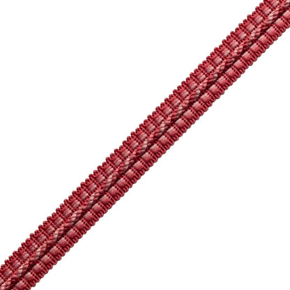 1/2" Le Jardin Silk Gimp Trim by Samuel & Sons in Flamingo