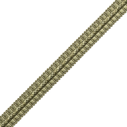 1/2" Le Jardin Silk Gimp Trim by Samuel & Sons in Celadon