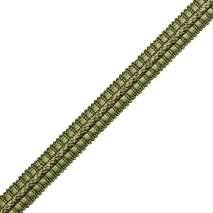 1/2" Le Jardin Silk Gimp Trim by Samuel & Sons in Spearmint