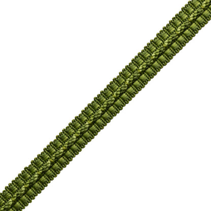 1/2" Le Jardin Silk Gimp Trim by Samuel & Sons in Grass