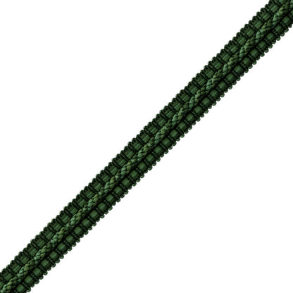 1/2" Le Jardin Silk Gimp Trim by Samuel & Sons in Forest