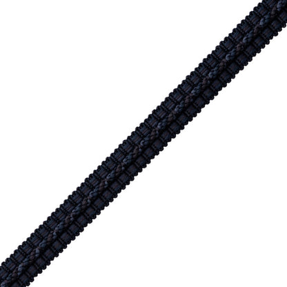 1/2" Le Jardin Silk Gimp Trim by Samuel & Sons in Midnight
