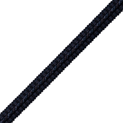 1/2" Le Jardin Silk Gimp Trim by Samuel & Sons in Midnight